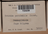 Image Associated With the Occurence